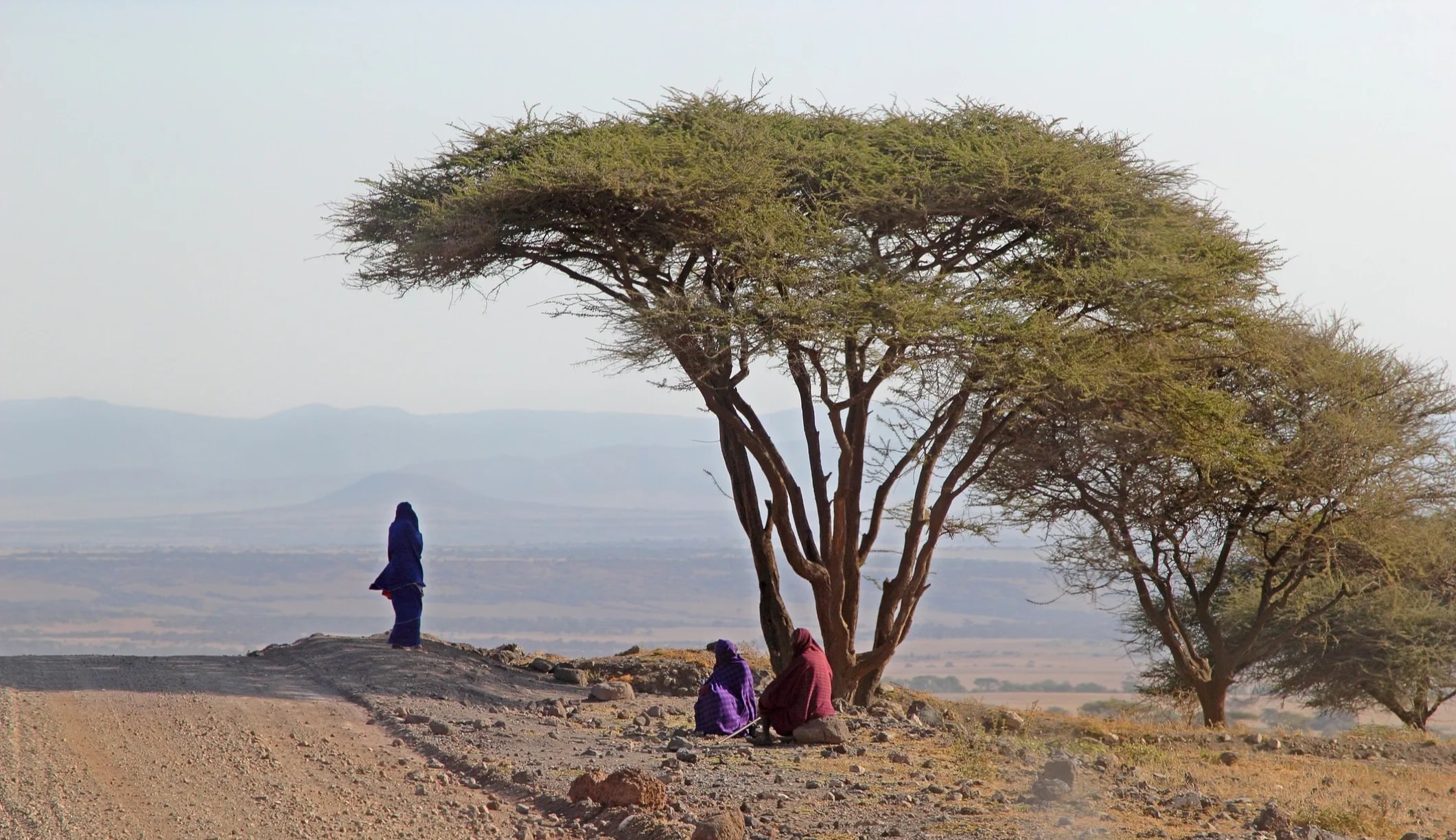 Monduli Juu highland landscape Tanzania